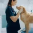 20% Sin Tope en Petvet