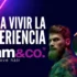 20% dto.